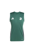 Adidas Tanktop grün